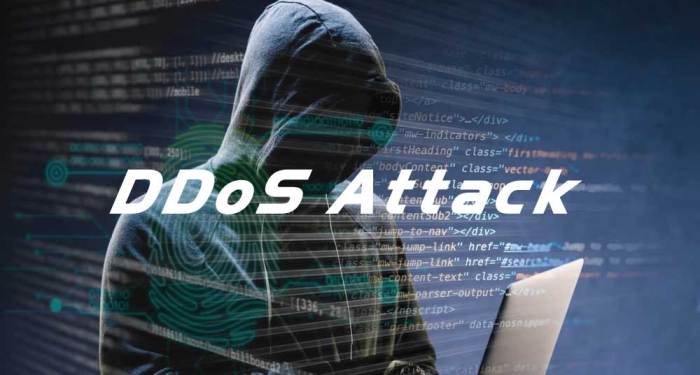 Understanding and Preventing DDoS Attacks
