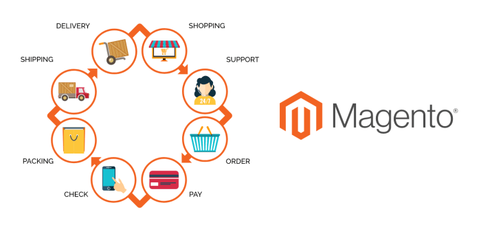 Magento: The best choice for online stores - Digiturnal