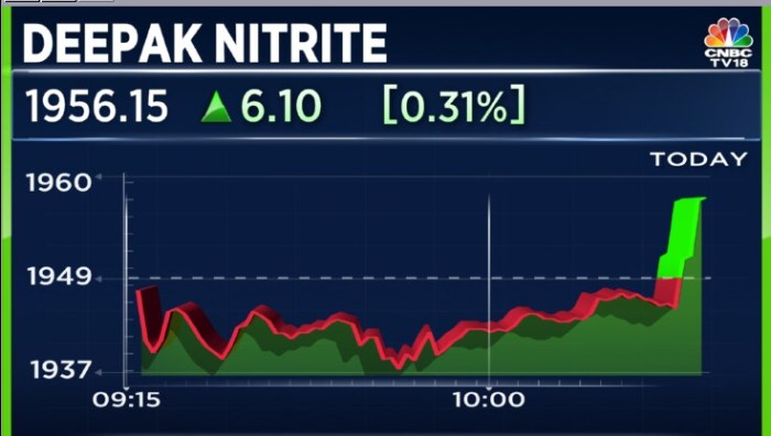 Deepak Nitrite Q2 Result | Deepak Nitrite Share Latest News | Invest ...