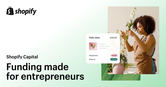 Shopify Capital | Business Funding Made for Entrepreneurs - Shopify UK